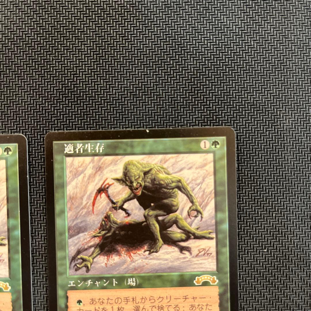 mtg 適者生存 2枚セット
