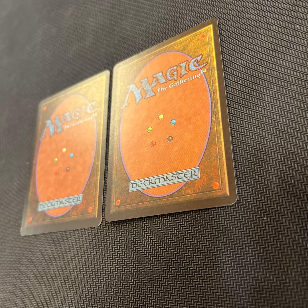 mtg 適者生存 2枚セット