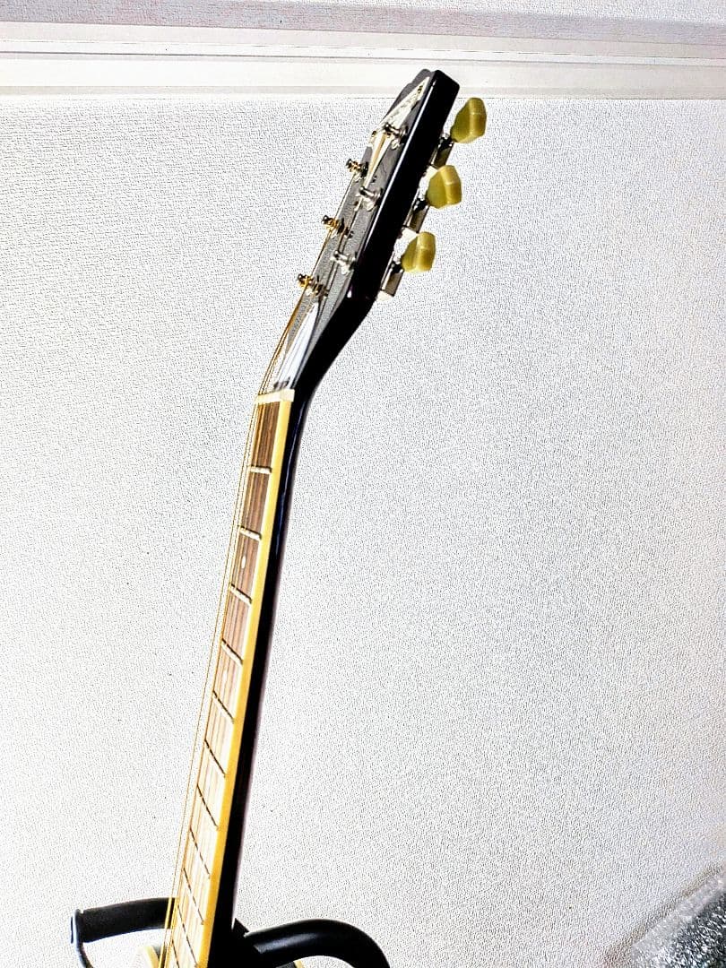 【美品】Epiphone エピフォンPRO-1 Ultra WR エレアコ