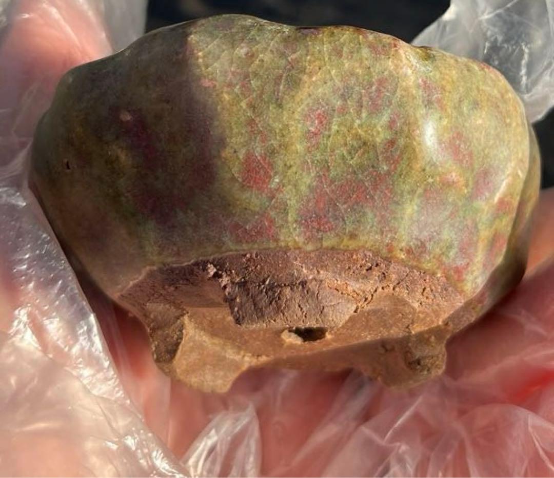 虹泉　盆栽鉢　小品　ミニ