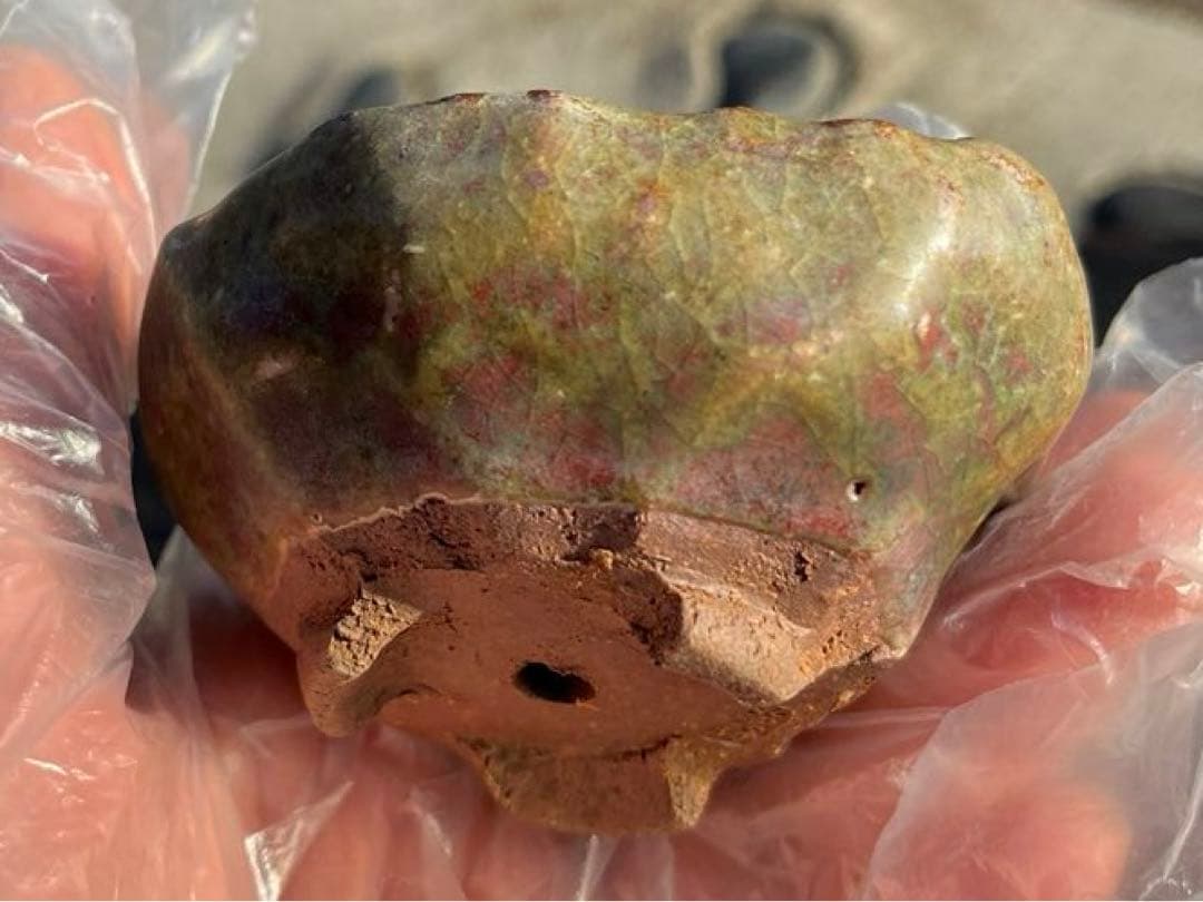 虹泉　盆栽鉢　小品　ミニ