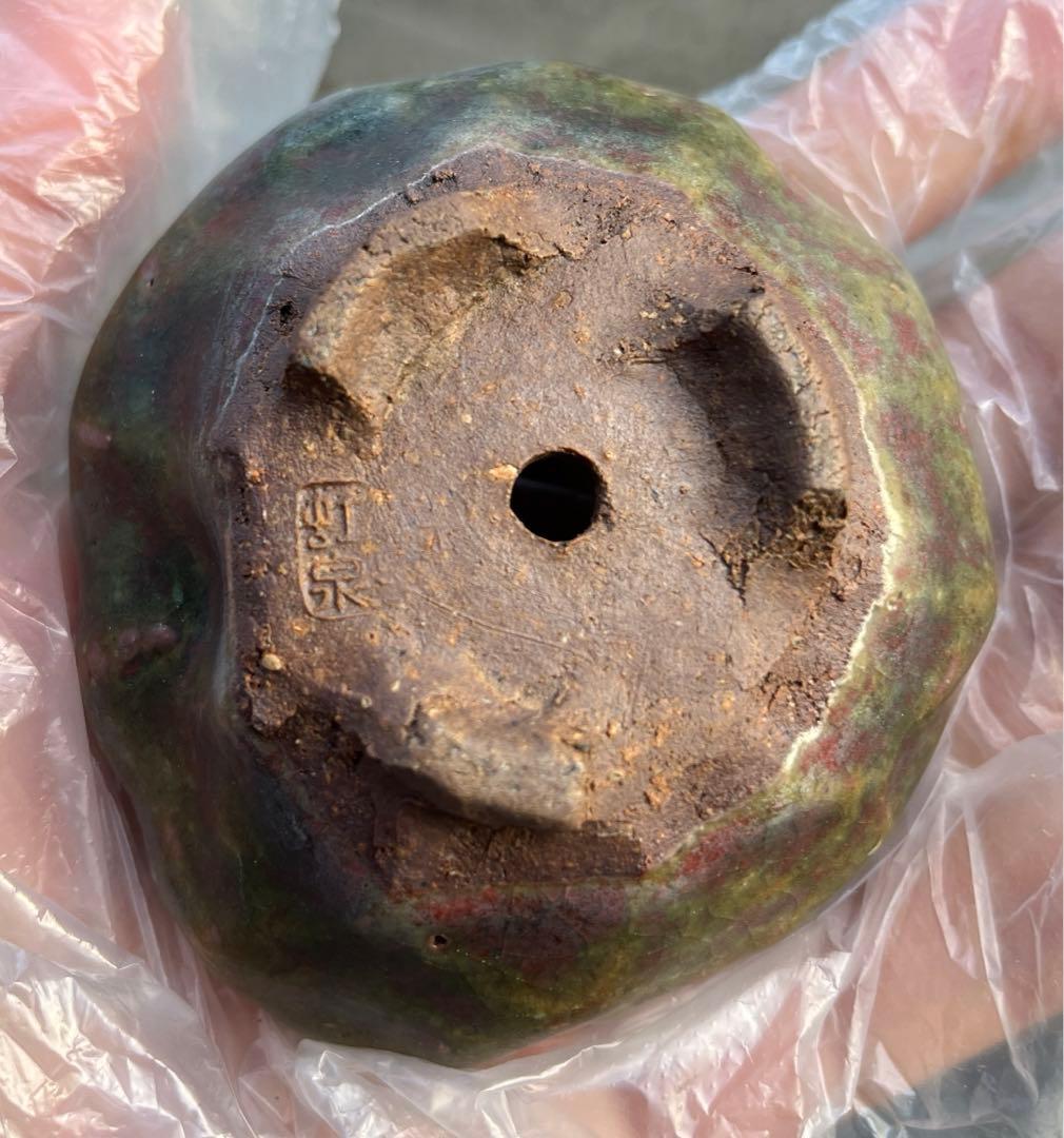 虹泉　盆栽鉢　小品　ミニ