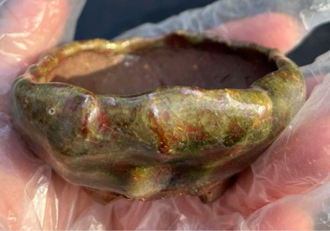 虹泉　盆栽鉢　小品　ミニ