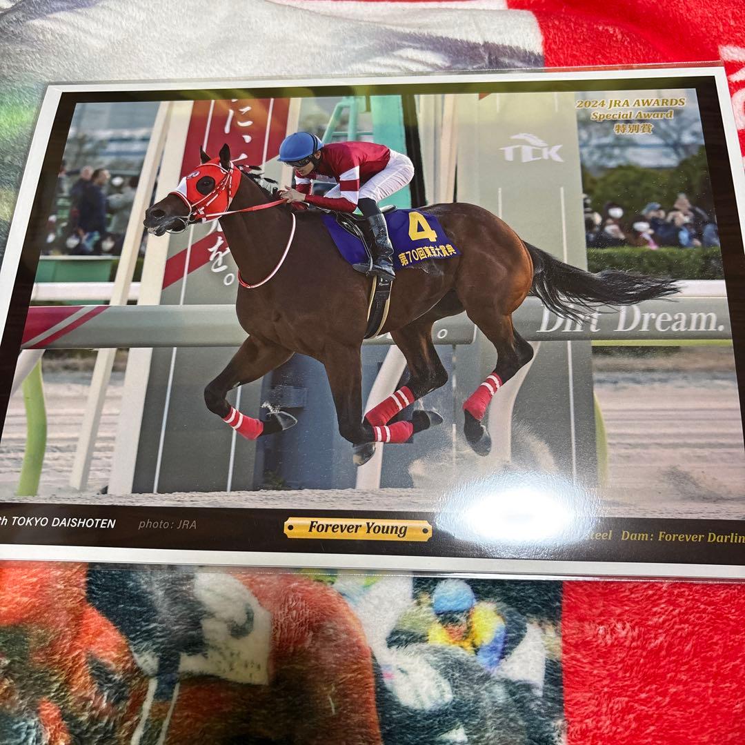 フォーエバーヤング　JRA賞 デジタルフォト