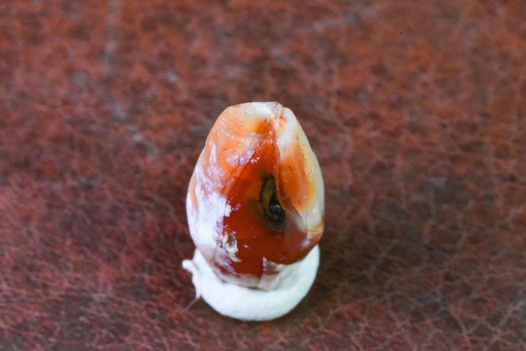 西アジア出土 アンティークカーネリアンビーズ02