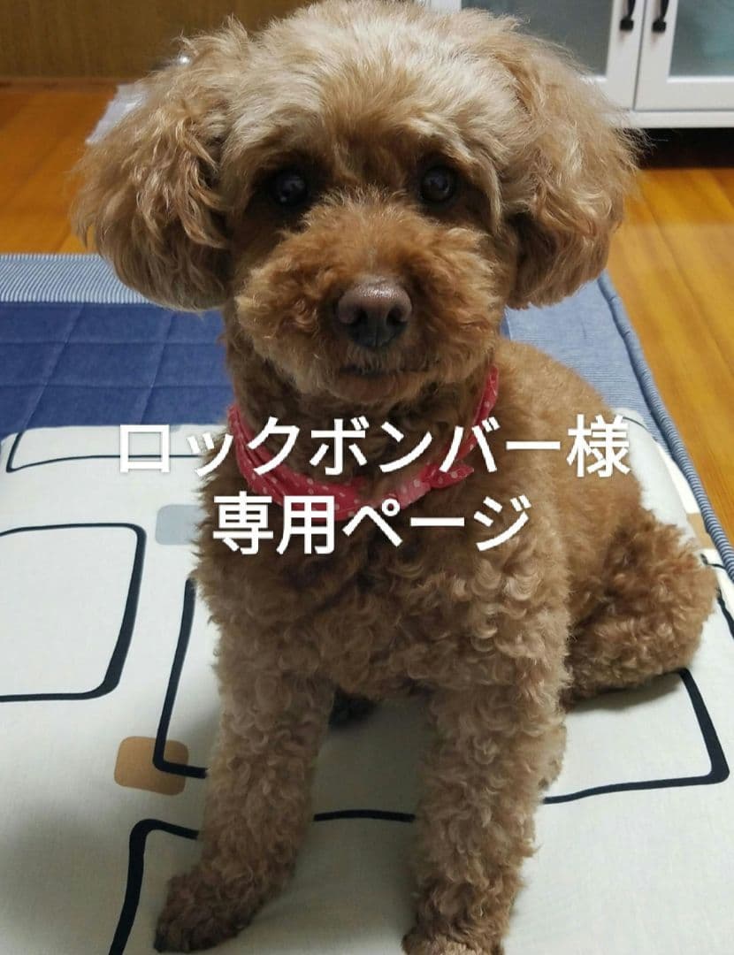 ワンちゃん名前プレート