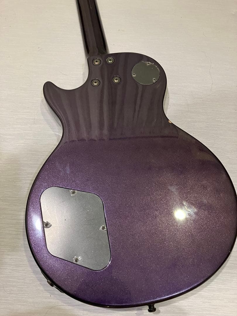 FERNANDES RE-95G CRAZE 瀧川一郎モデル