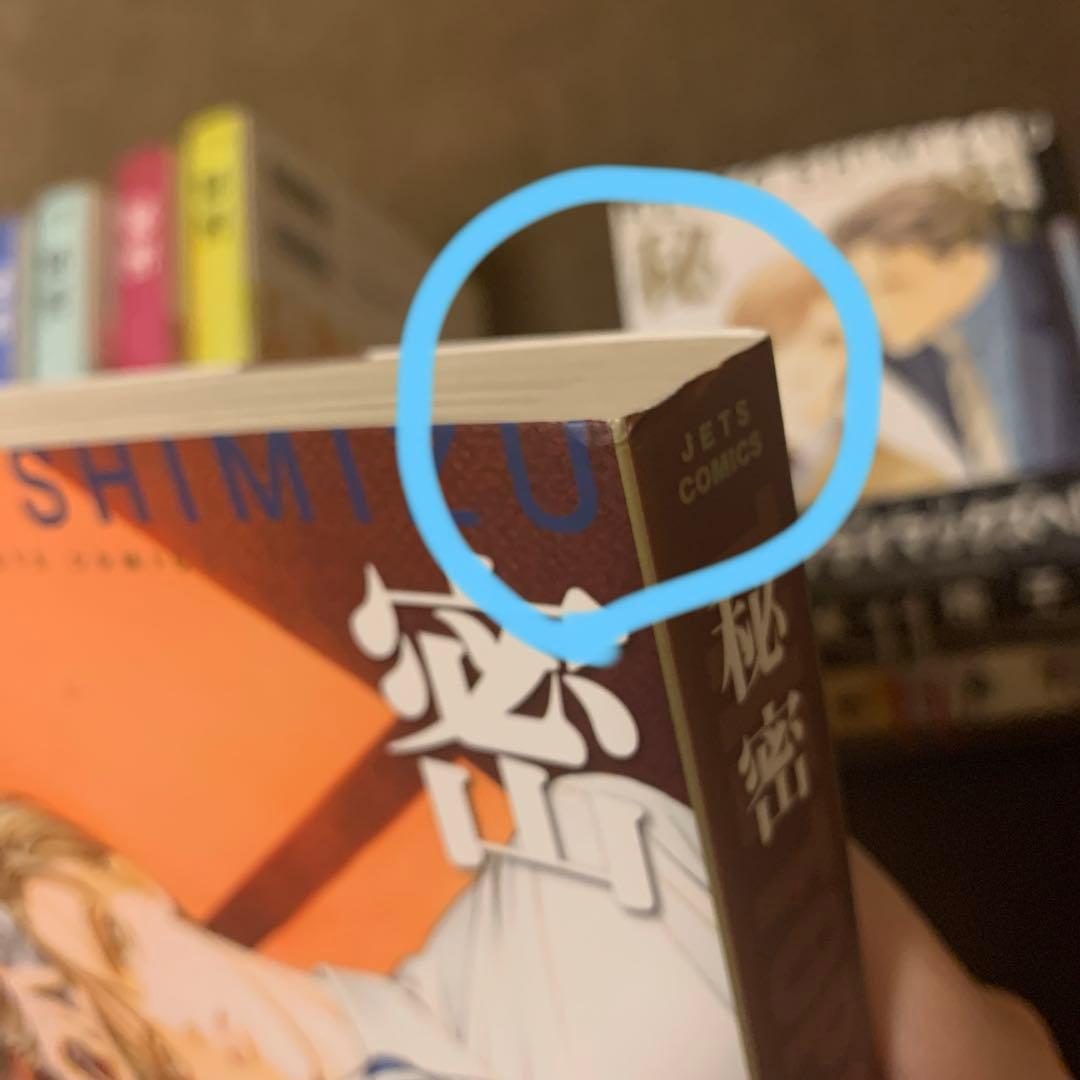 秘密　清水玲子