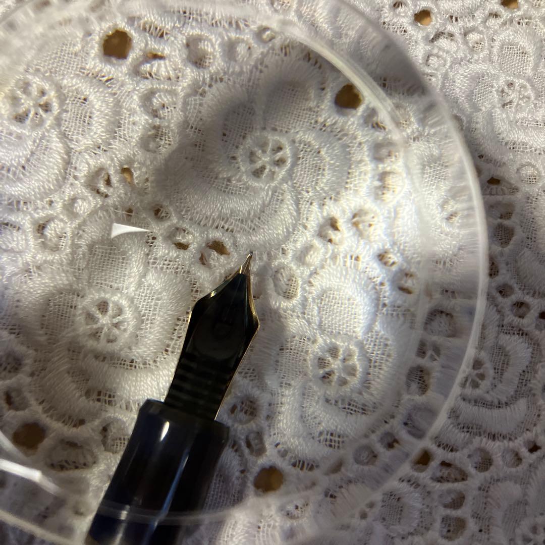 万年筆　パイロット　カスタム74 F（細字）