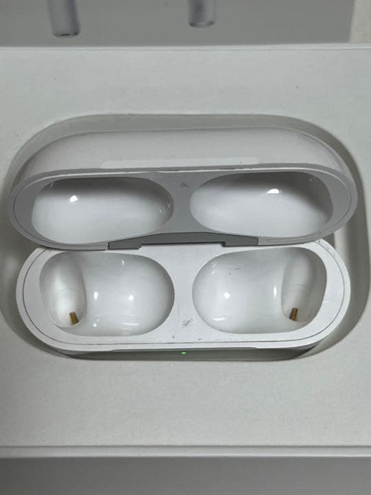 Apple AirPods Pro ケース