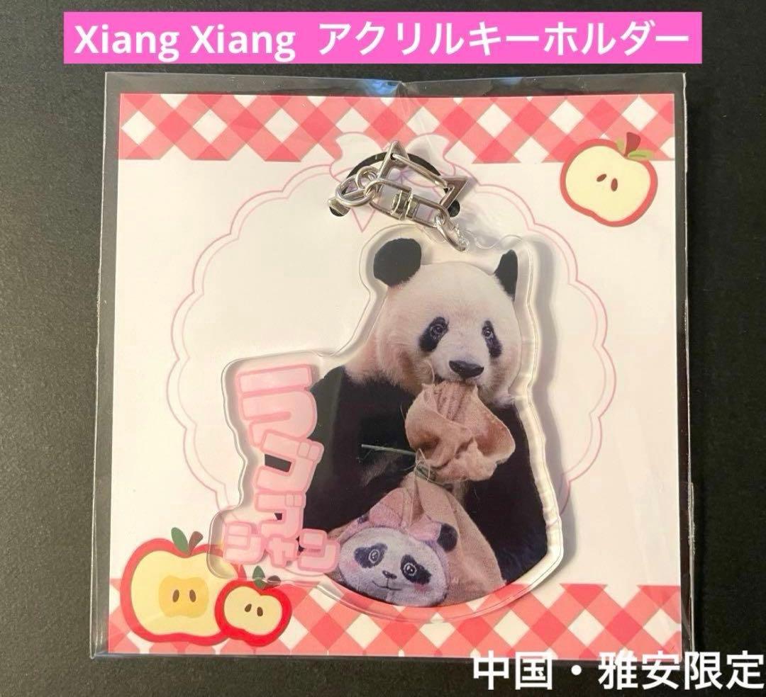 専用　　シャンシャン