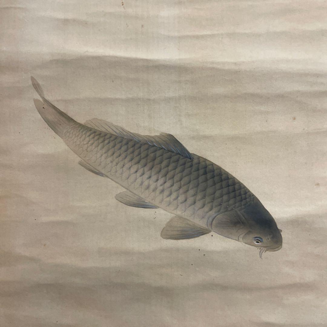 鯉の水墨画 掛軸　186cmX55cm