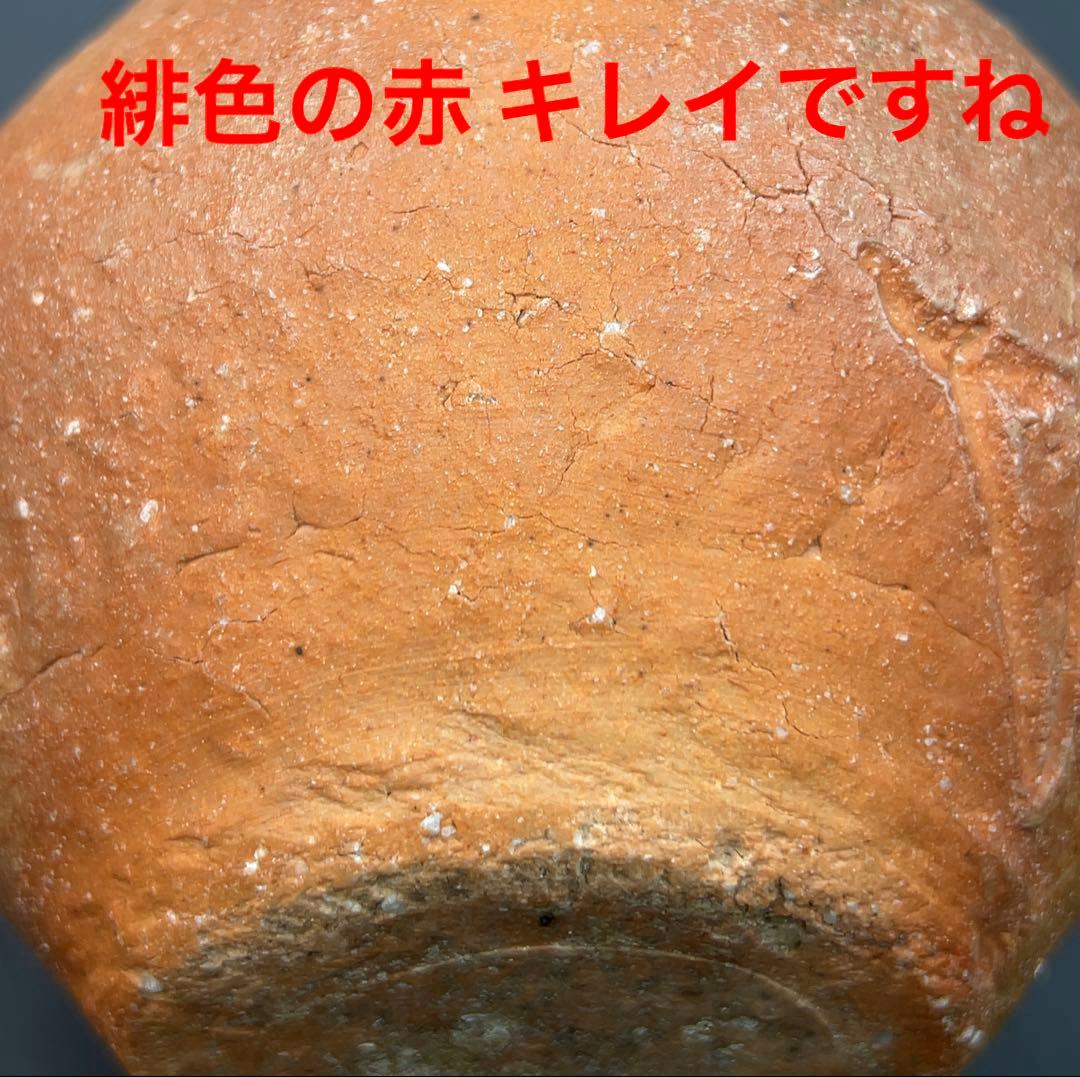 杉本貞光（造）信楽 宝珠形花入