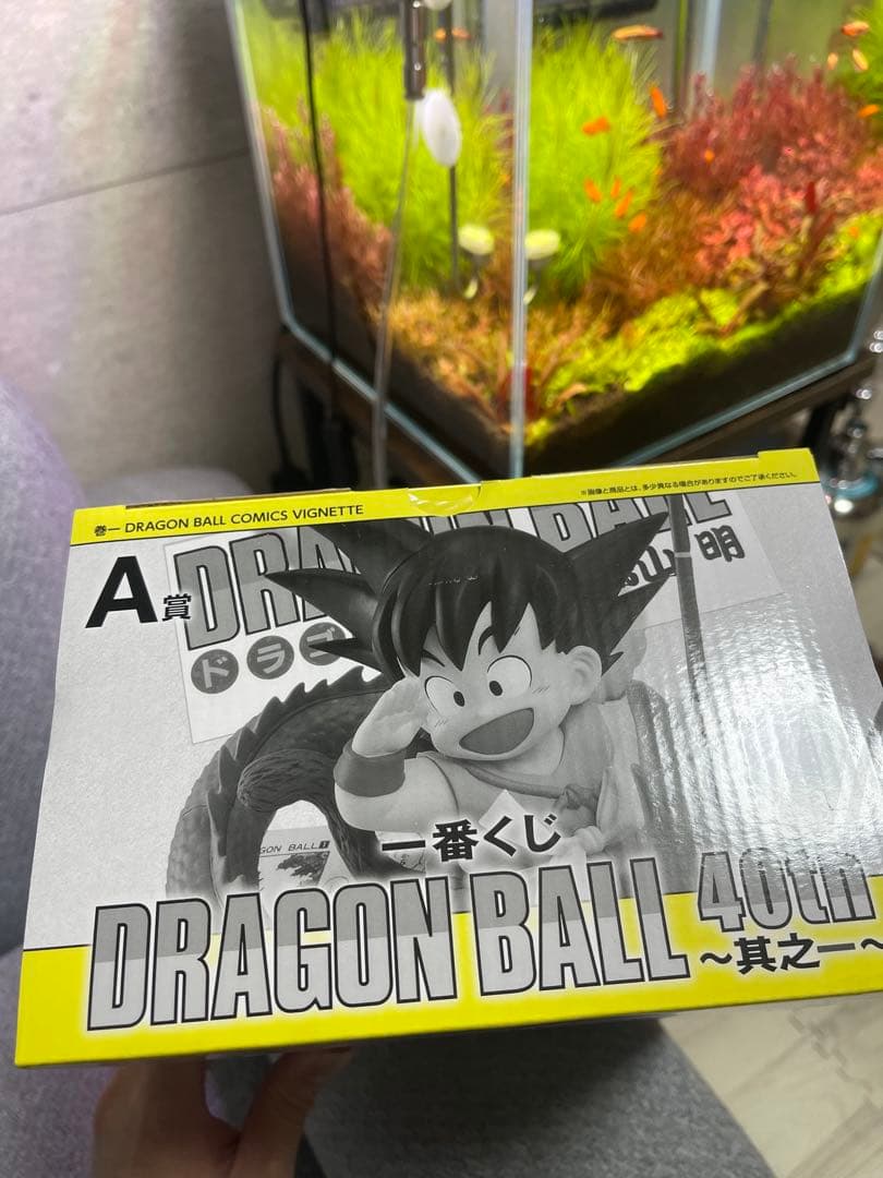 ドラゴンボール 一番くじ DRAGON BALL 40th 〜其之一〜 A賞