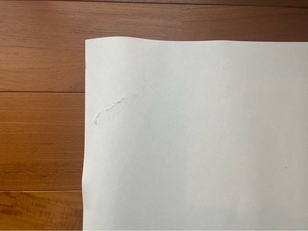 【値下げ中】ダネーゼ ポスターDANESE Quattro la pantera