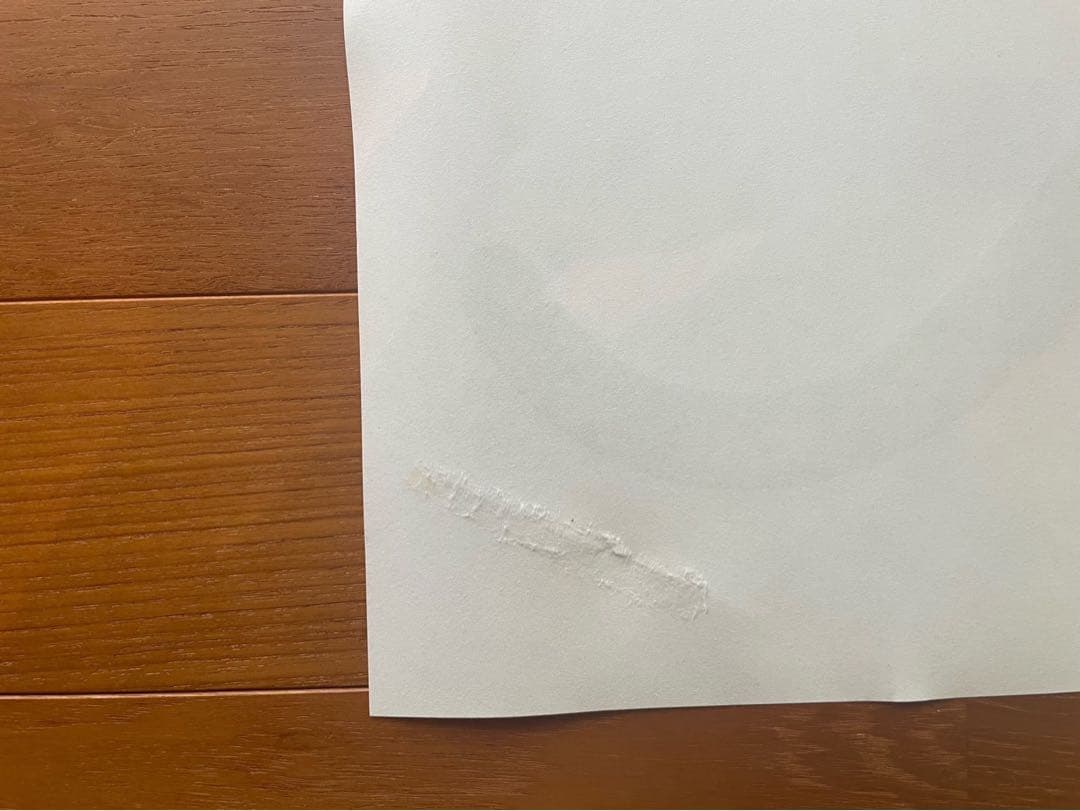 【値下げ中】ダネーゼ ポスターDANESE Quattro la pantera