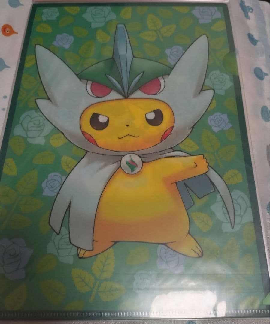 メガポンチョを着たピカチュウ vol.2 A4クリアファイルセット　レックウザ