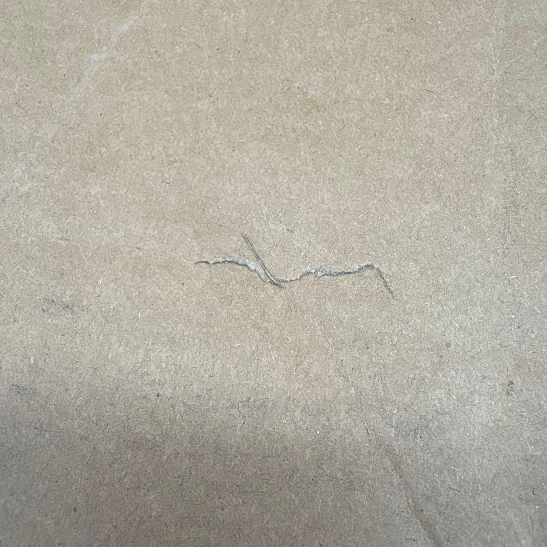 マキタ makita MHW001GZ 充電式高圧洗浄機 40Vmax 本体のみ