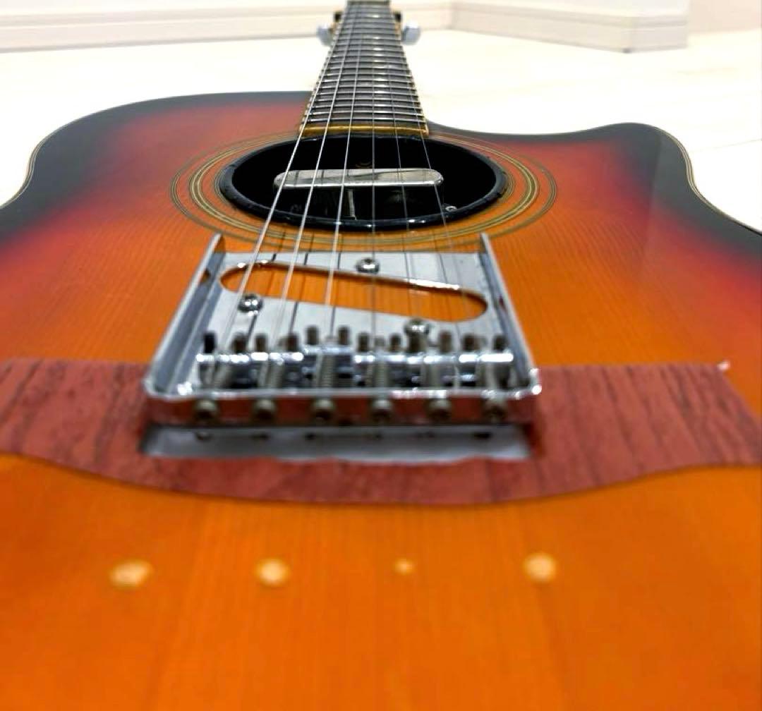 おんちゃん商品Vester Maniac SAF-30 エレアコ アコギ