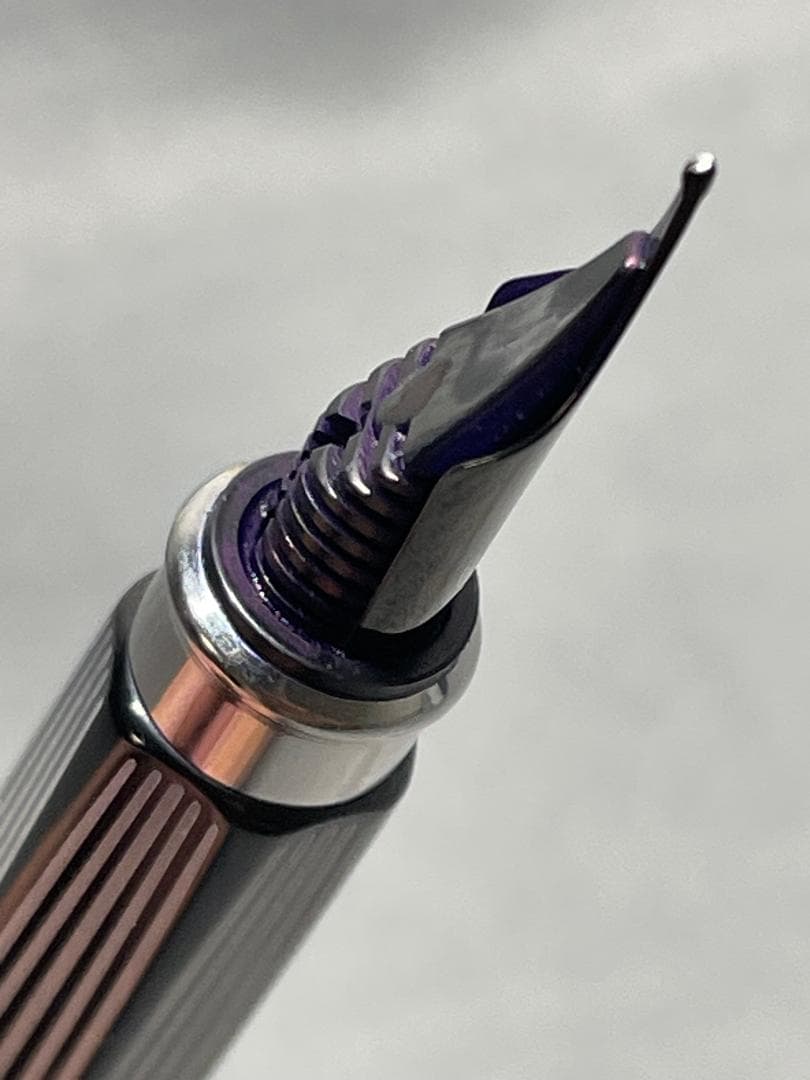 CARAN　D'ACHE(カランダッシュ)RNX.316　PVDブラック　万年筆