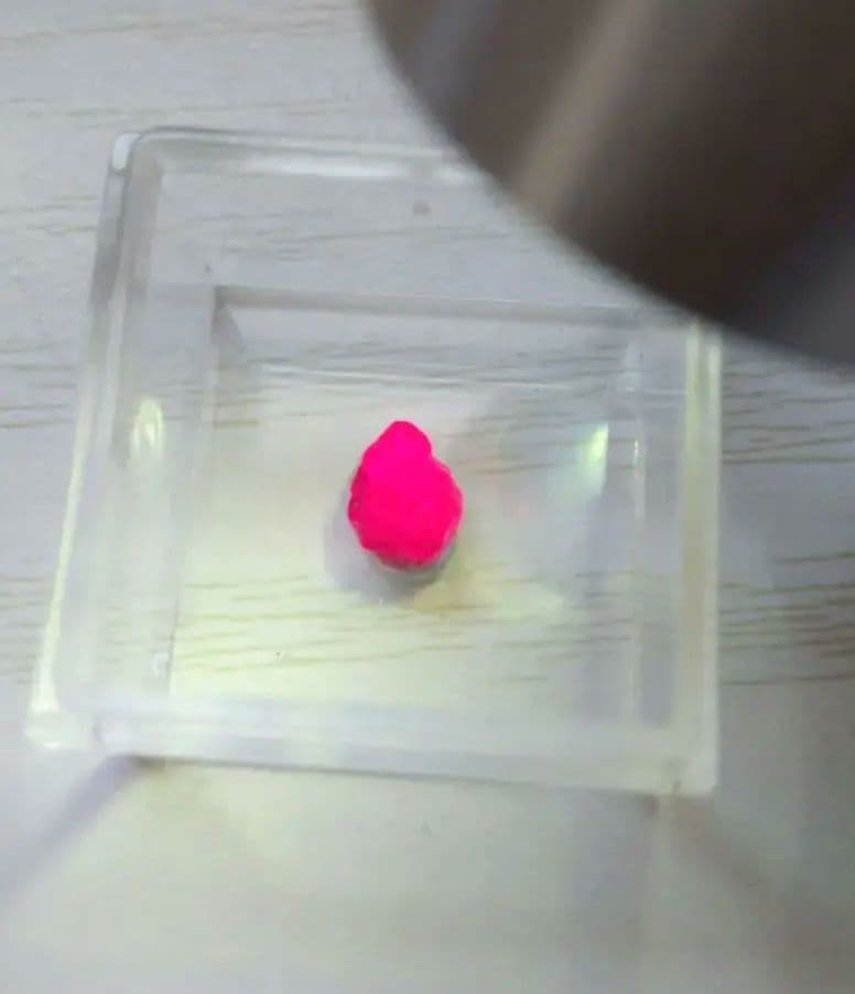 ピジョンブラッド ルビー　蛍光宝石鉱物標本