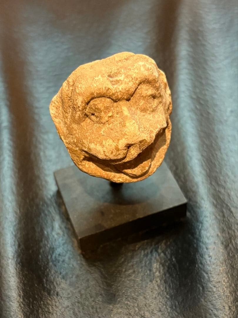 ハッダ　ストゥッコ　獅子頭部残欠