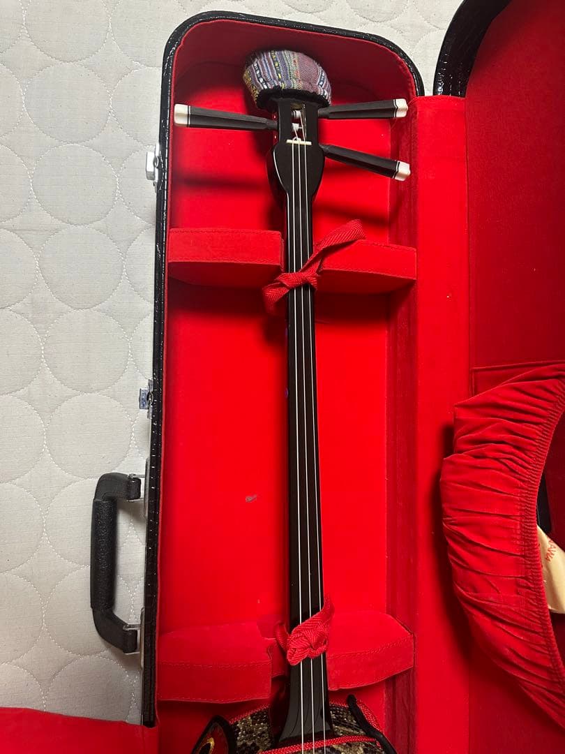 三線 本体 蛇の皮 ケース付き