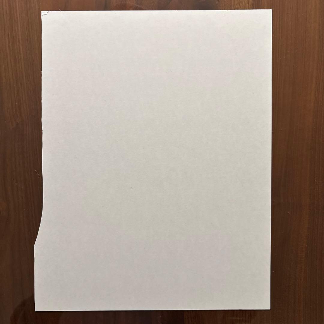 再現‼️レスターフラットピックガード用素材‼️型サンプル＋実物大カラーコピー