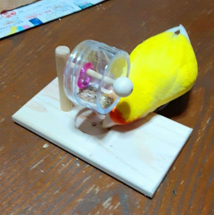 g157　止まり木　Tパーチ　スタンド　バードトイ　フォージングトイ色々セット