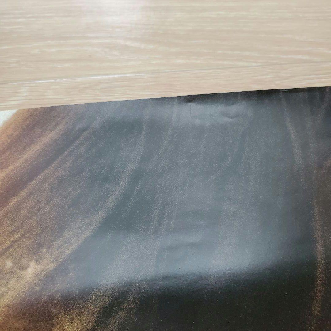 直筆サイン入り 映画ポスター 止められるか俺たちを 井浦新 門脇麦 白石和彌