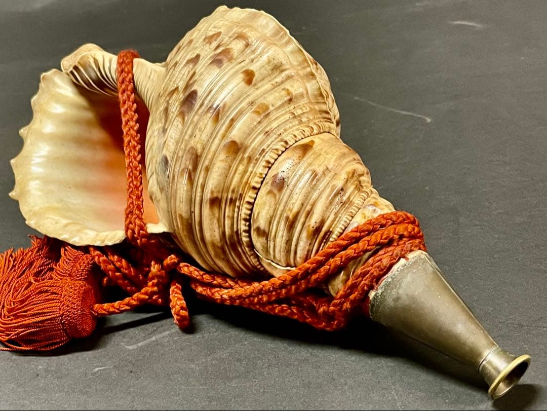 割引❣️【美品】「母」 法螺貝 ほら貝 口金 38cm 山伏 修験道 (218A)