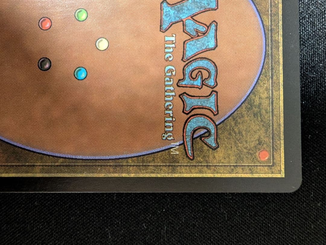 Guruランド グルランド 森