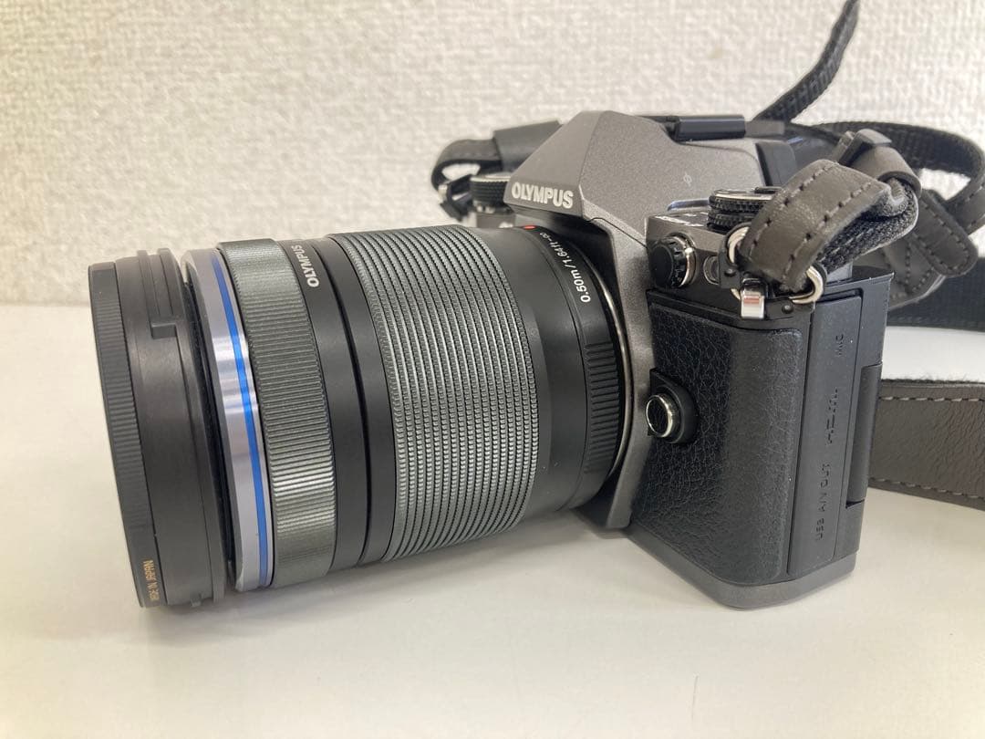 OLYMPUS オリンパスOM-D E-M5II ミラーレス一眼カメラ ブラック