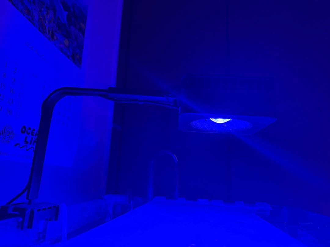 Reef LED G2 60 & マウンティングアームセット