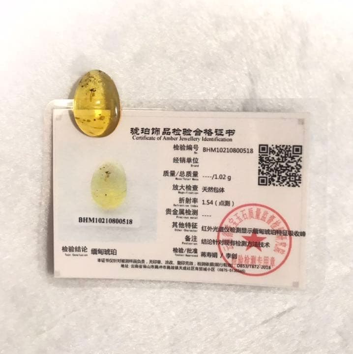 アンバー 琥珀 アカイエカ ユニーク 天然石 虫入り 価値上がる