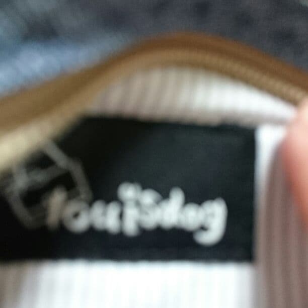 犬キャリーバッグ