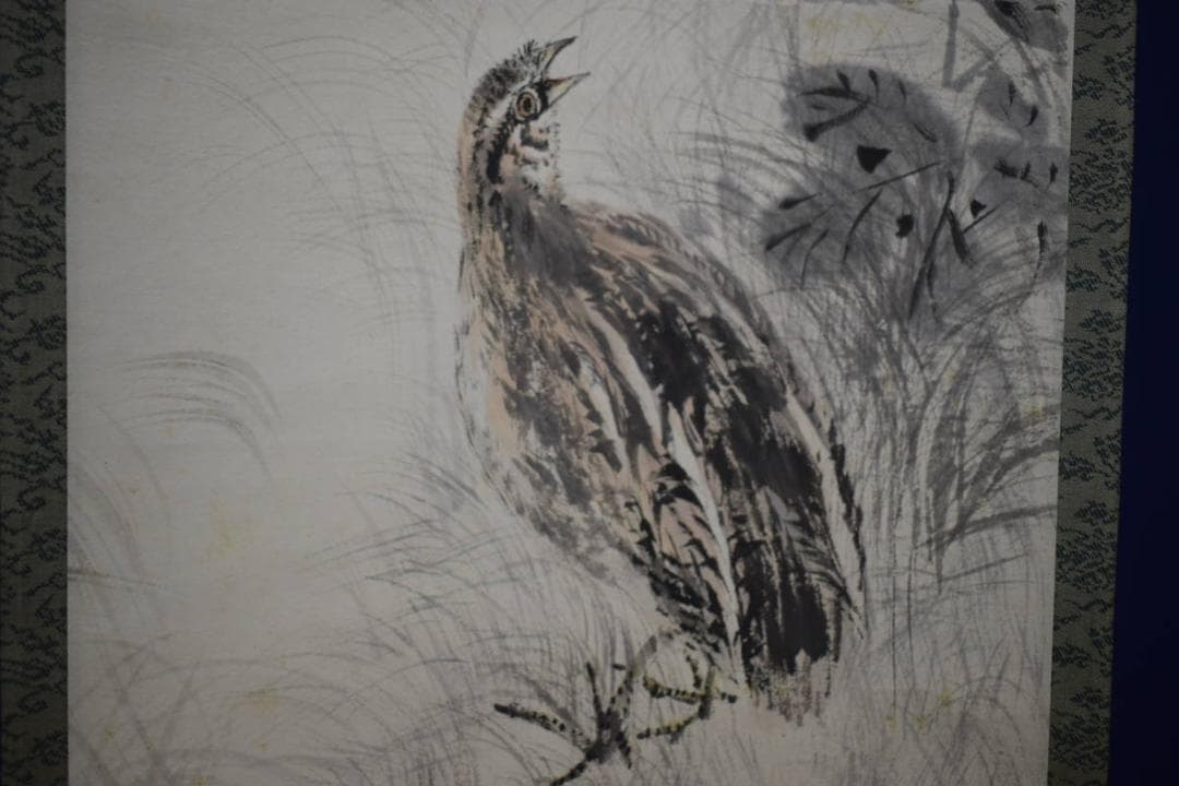 真作/上田万秋/上田萬秋/鶉図/ウズラ図/布袋屋掛軸HH-197