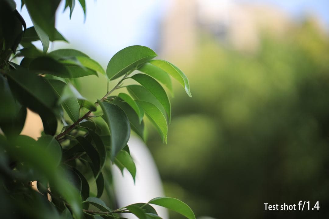 キヤノン Canon A-1 フィルムカメラ FD 50mm f/1.4 SSC