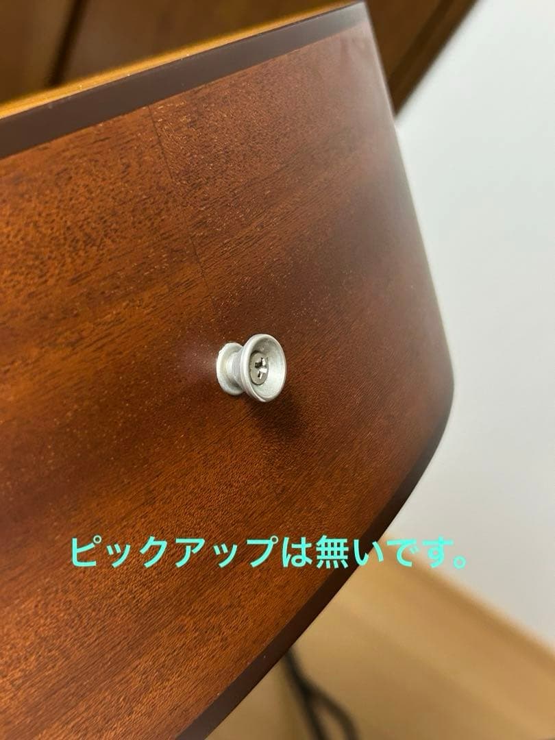 シーガル M6 スプルース　アコースティックギター