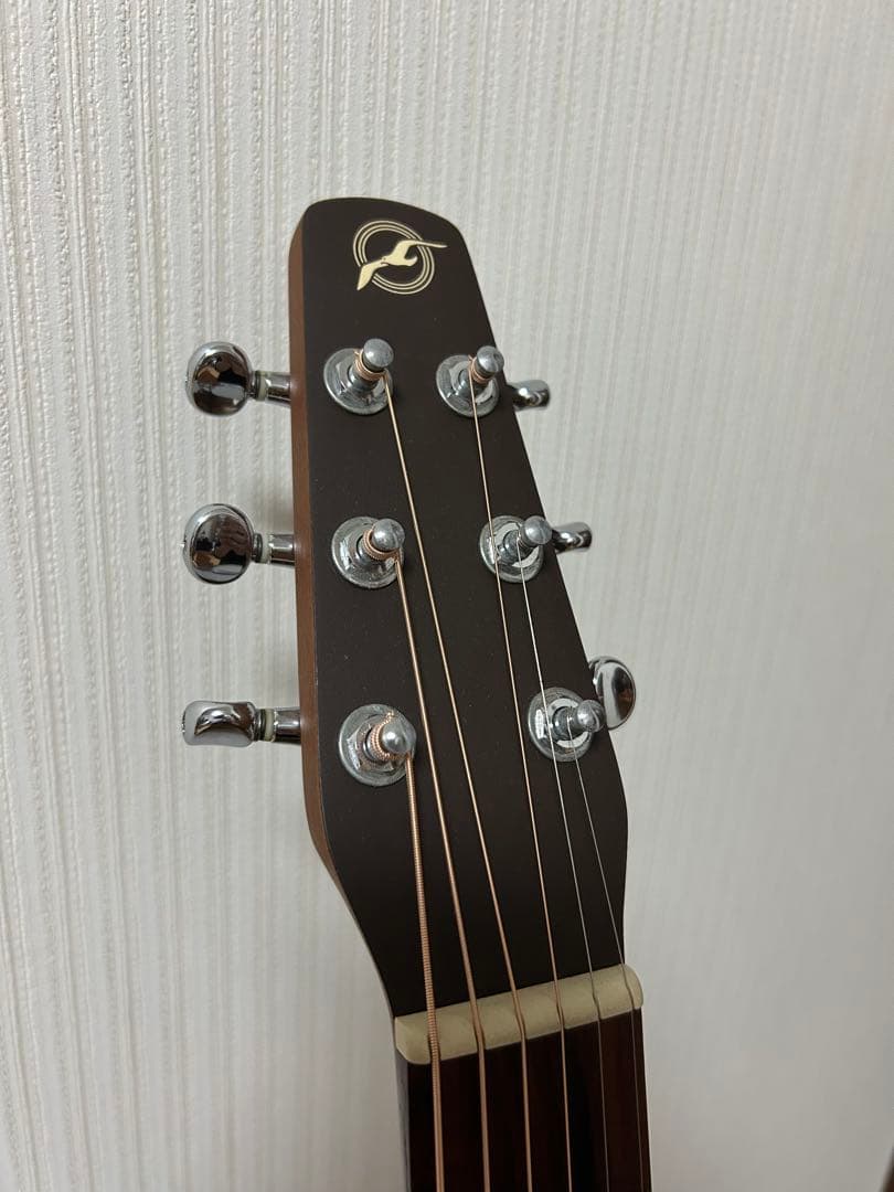 シーガル M6 スプルース　アコースティックギター