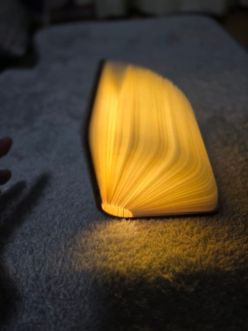 【シリアル1桁台!】嘘つき姫と盲目王子 限定100点 ブック型ライト 動作確認済