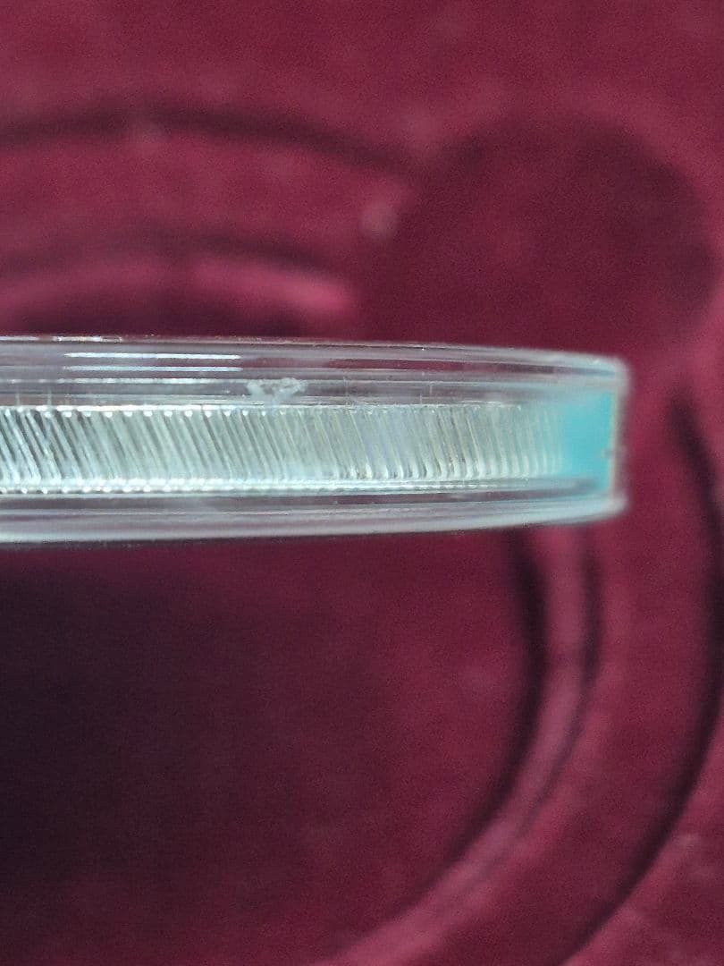 中華人民共和国 パンダ硬貨 10元 2007年