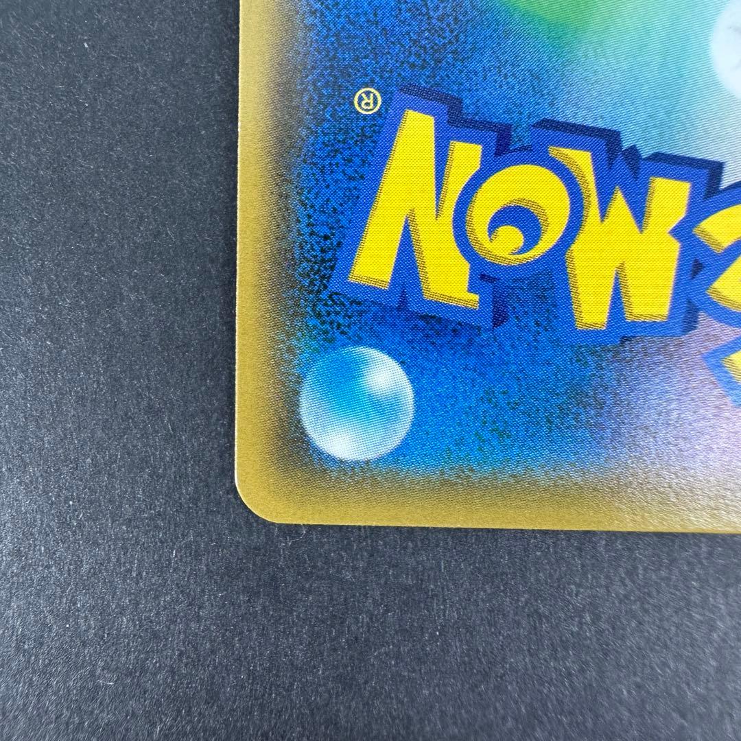 エリカのおもてなし sr