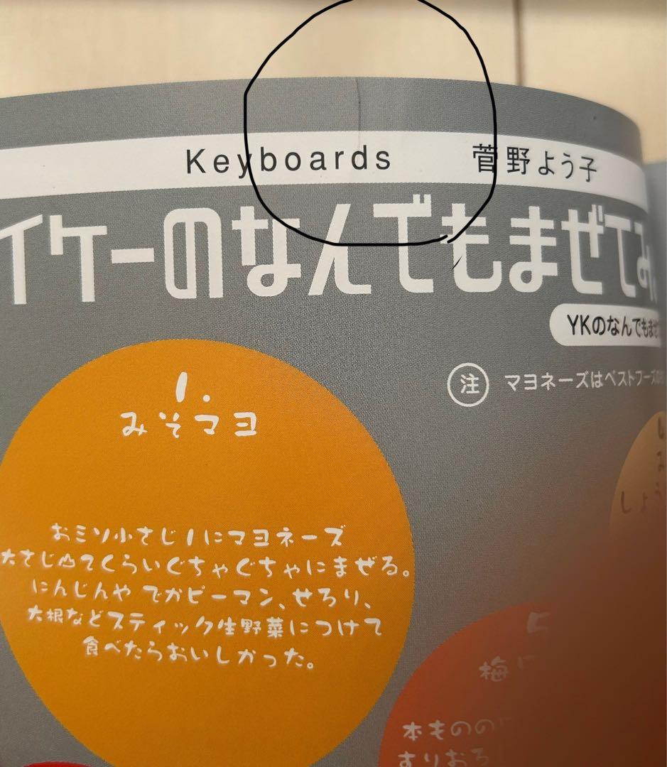 菅野よう子　シートベルツ　ライブ　SEATBELTS パンフレット　ステッカー