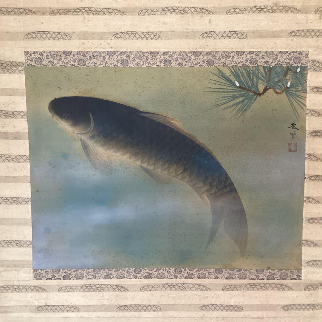 菱田春草　絹本横幅掛軸一幅　【　松　鯉　図　】自題箱　落款有軸先骨　模写　170