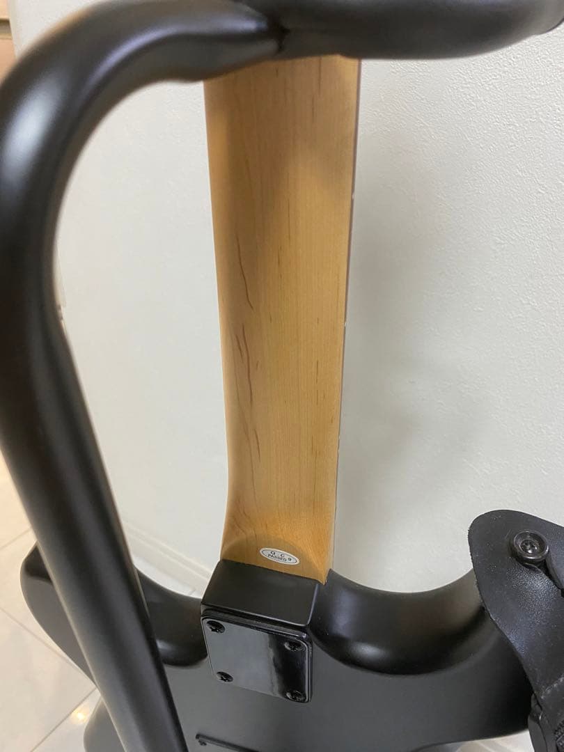 SELDER / セルダー ストラトキャスタータイプ マットブラック