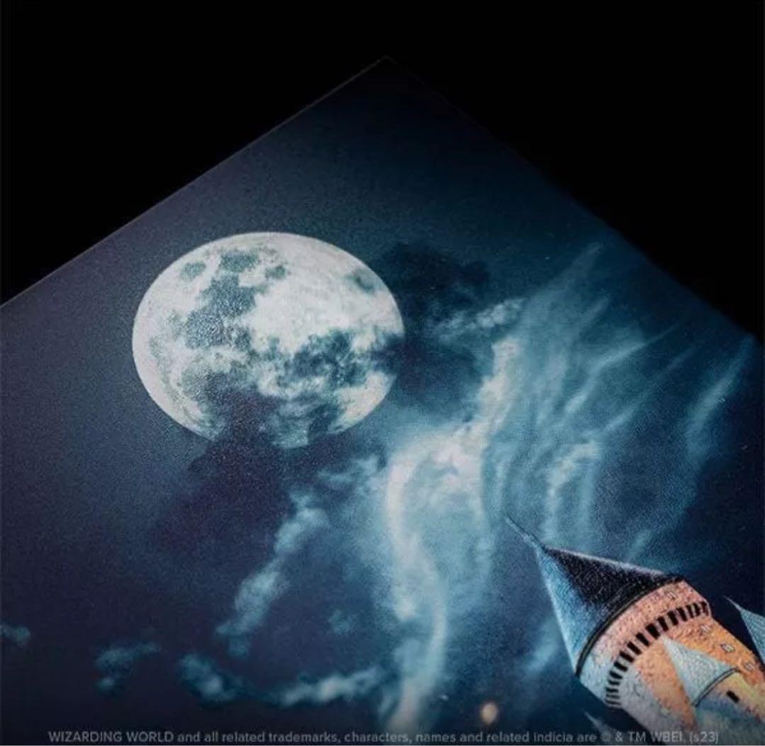 ハリー・ポッターDisplate Limited Edition チョウピラコ