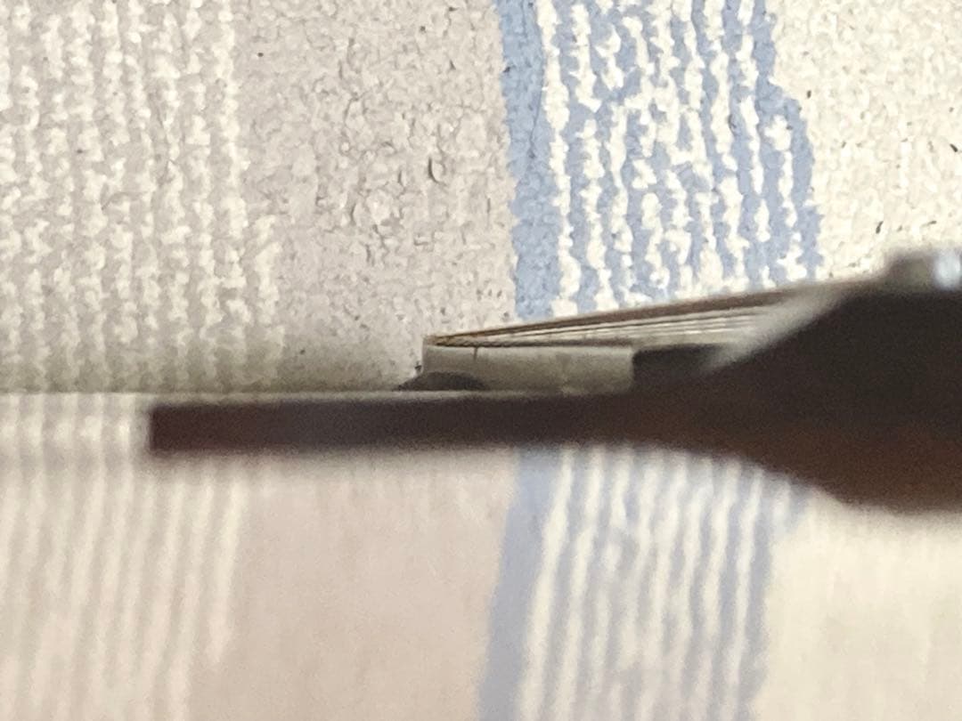 【希少！】Elite 12弦ギター WG25 ジャパンヴィンテージ アコギ