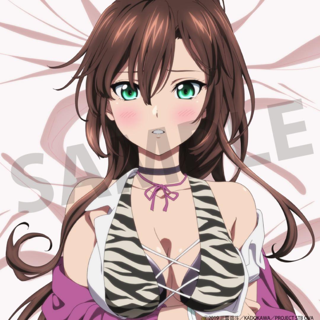 ストライク・ザ・ブラッド　抱き枕カバー　 煌坂紗矢