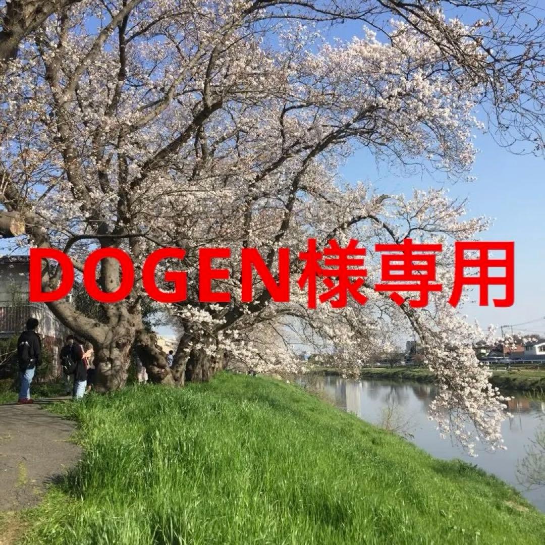 コミック・アニメ DOGEN